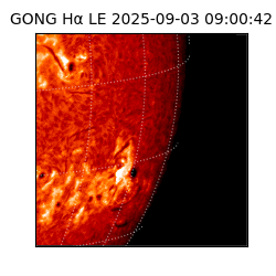 gong - 2025-09-03T09:00:42