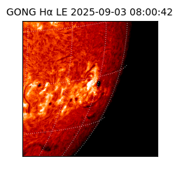 gong - 2025-09-03T08:00:42