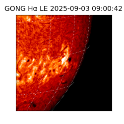 gong - 2025-09-03T09:00:42
