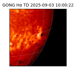 gong - 2025-09-03T10:00:22
