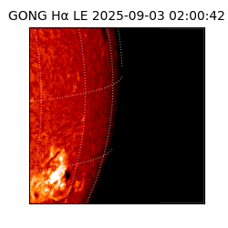 gong - 2025-09-03T02:00:42