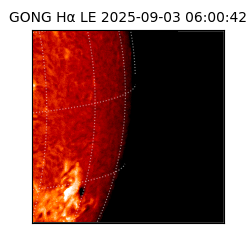 gong - 2025-09-03T06:00:42