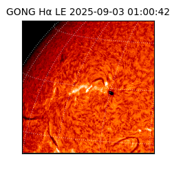gong - 2025-09-03T01:00:42