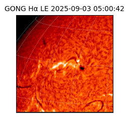 gong - 2025-09-03T05:00:42