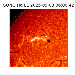 gong - 2025-09-03T06:00:42