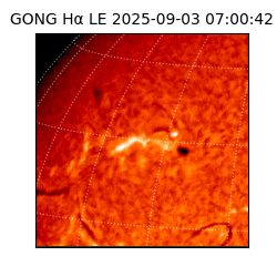 gong - 2025-09-03T07:00:42