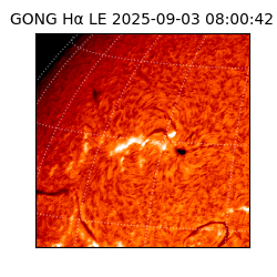 gong - 2025-09-03T08:00:42