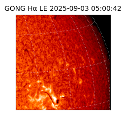 gong - 2025-09-03T05:00:42