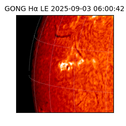 gong - 2025-09-03T06:00:42
