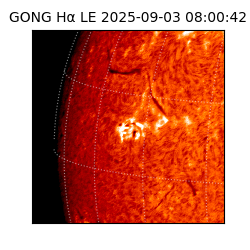 gong - 2025-09-03T08:00:42
