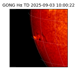 gong - 2025-09-03T10:00:22