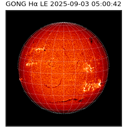 gong - 2025-09-03T05:00:42