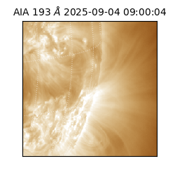 saia - 2025-09-04T09:00:04.843000