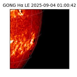 gong - 2025-09-04T01:00:42