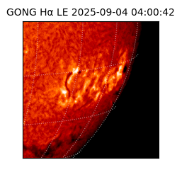 gong - 2025-09-04T04:00:42