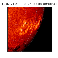 gong - 2025-09-04T08:00:42