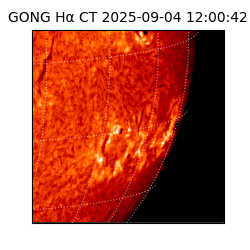 gong - 2025-09-04T12:00:42