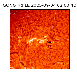 gong - 2025-09-04T02:00:42