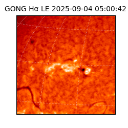 gong - 2025-09-04T05:00:42