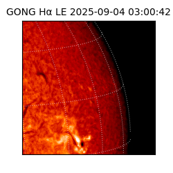gong - 2025-09-04T03:00:42
