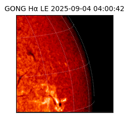 gong - 2025-09-04T04:00:42