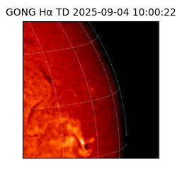 gong - 2025-09-04T10:00:22