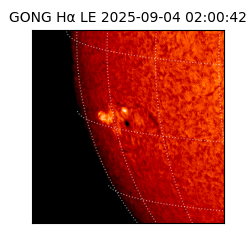 gong - 2025-09-04T02:00:42