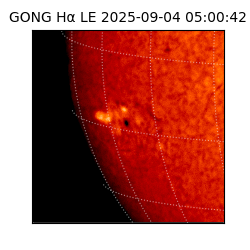 gong - 2025-09-04T05:00:42