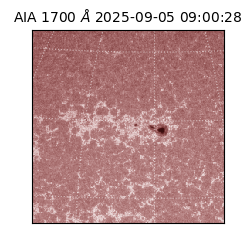 saia - 2025-09-05T09:00:28.737000