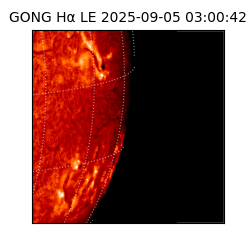 gong - 2025-09-05T03:00:42
