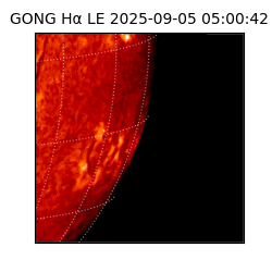 gong - 2025-09-05T05:00:42