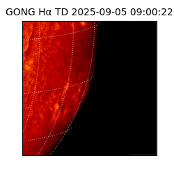 gong - 2025-09-05T09:00:22
