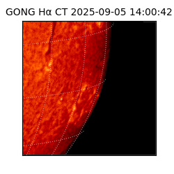 gong - 2025-09-05T14:00:42