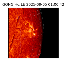 gong - 2025-09-05T01:00:42