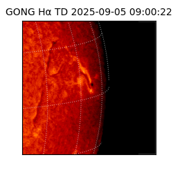 gong - 2025-09-05T09:00:22