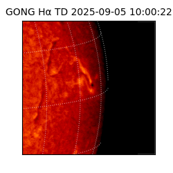 gong - 2025-09-05T10:00:22
