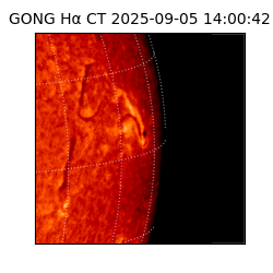 gong - 2025-09-05T14:00:42