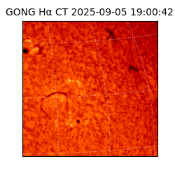 gong - 2025-09-05T19:00:42