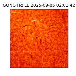 gong - 2025-09-05T02:01:42