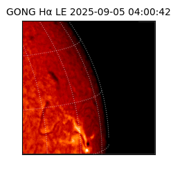 gong - 2025-09-05T04:00:42