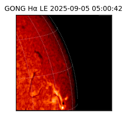 gong - 2025-09-05T05:00:42