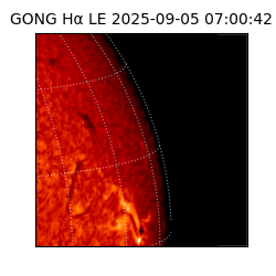 gong - 2025-09-05T07:00:42