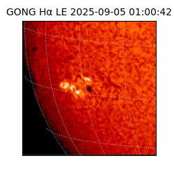 gong - 2025-09-05T01:00:42