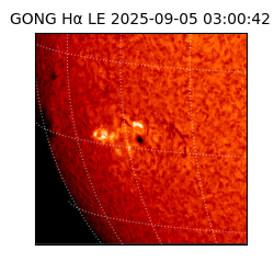 gong - 2025-09-05T03:00:42