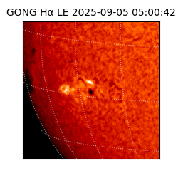 gong - 2025-09-05T05:00:42