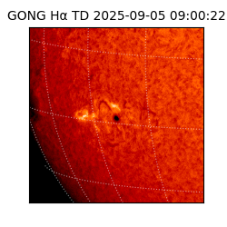 gong - 2025-09-05T09:00:22