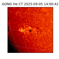 gong - 2025-09-05T14:00:42