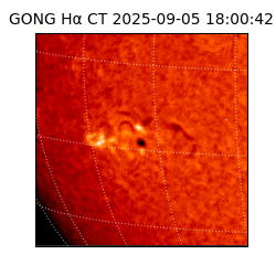 gong - 2025-09-05T18:00:42