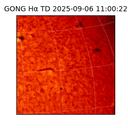 gong - 2025-09-06T11:00:22