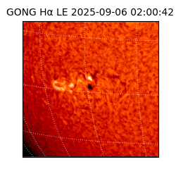 gong - 2025-09-06T02:00:42